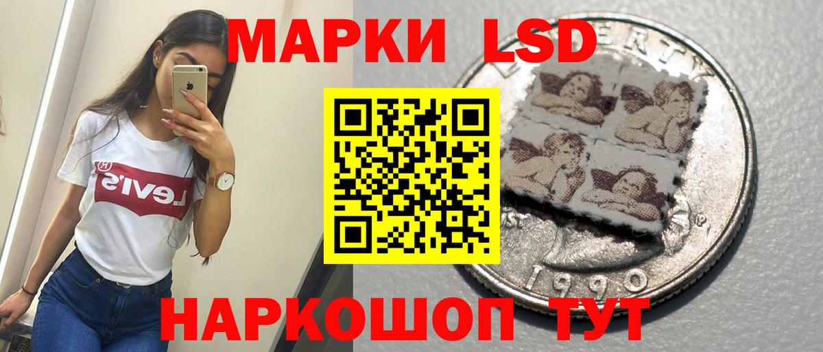 Новосибирск  Лсд 25 экстази кислота  LSD-25 экстази кислота  Вход с VPN 